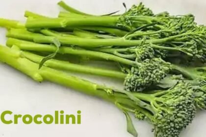 Crocolini