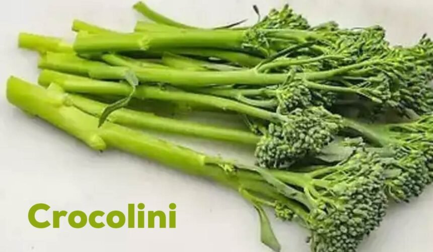 Crocolini