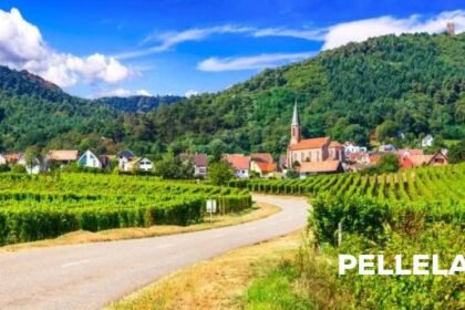 Pellela