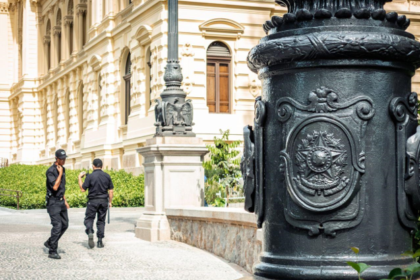 Professional Guard Services
