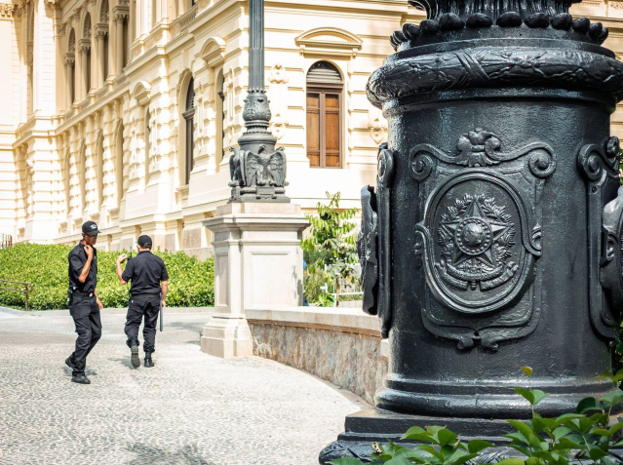 Professional Guard Services